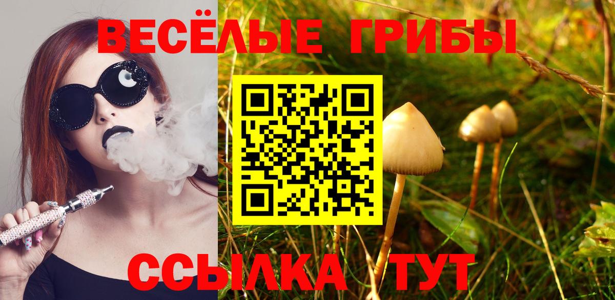 Псилоцибиновые грибы GOLDEN TEACHER Тобольск