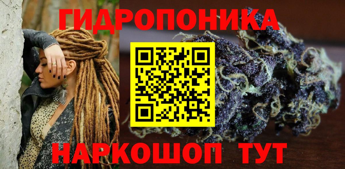 Канабис сатива Тобольск